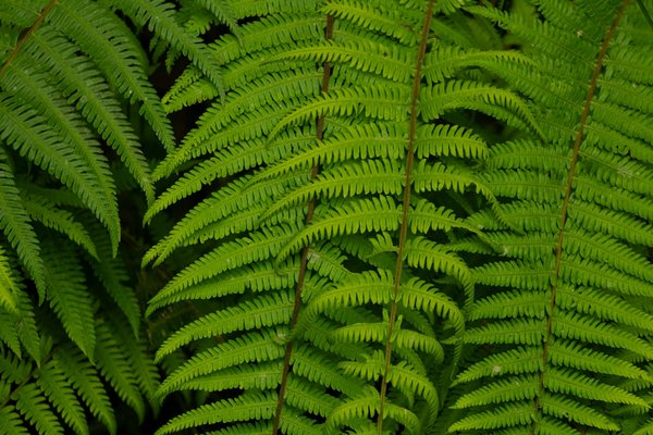 Ultimaker cura : guide complet pour optimiser vos impressions 3d