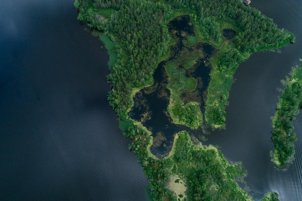 Énergies Éoliennes : Débats Passionnés et Conflits enflammés autour des Parcs Éoliens